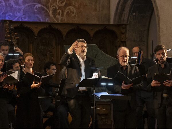 Stephan MacLeod: 20 Years of Bach, One Box Set